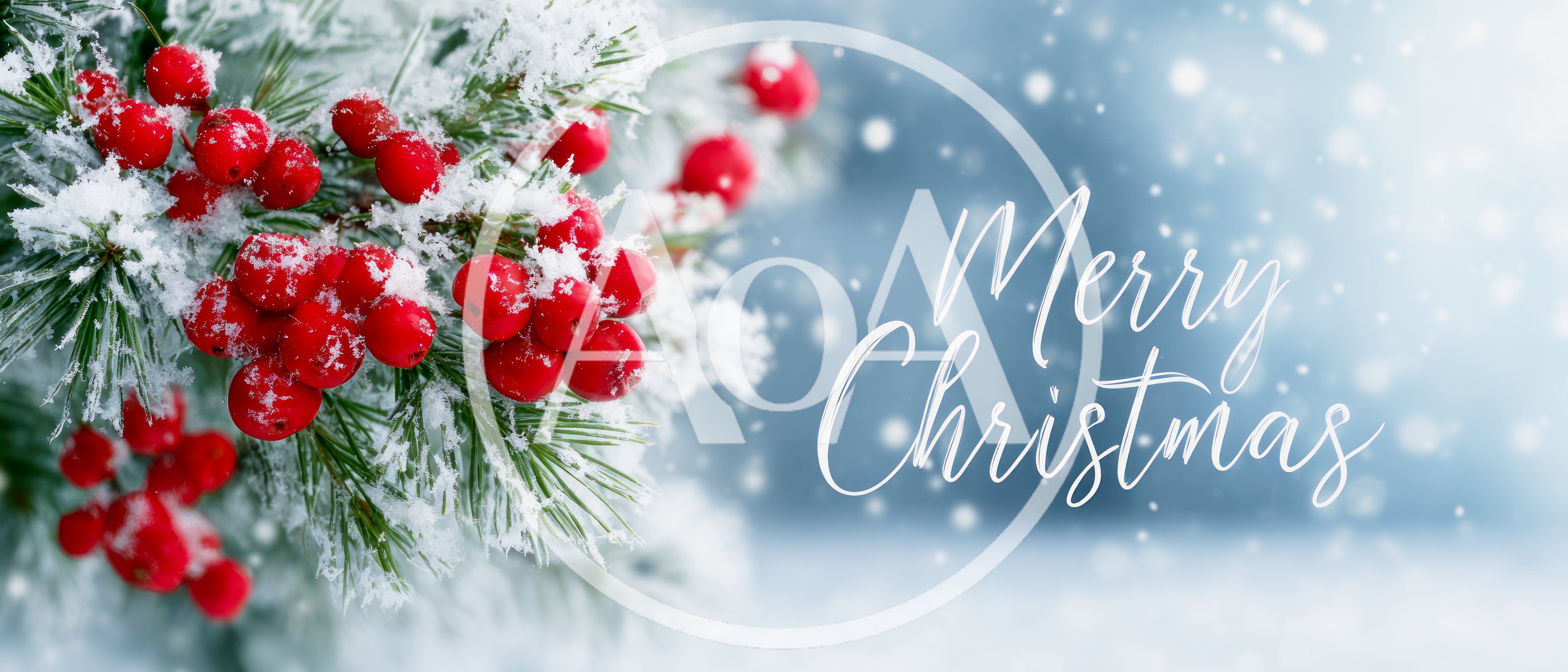 Snow Covered Holly Berries With Merry Christmas Text
