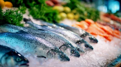Fresh Salmon Fish Displayed On Ice At Market