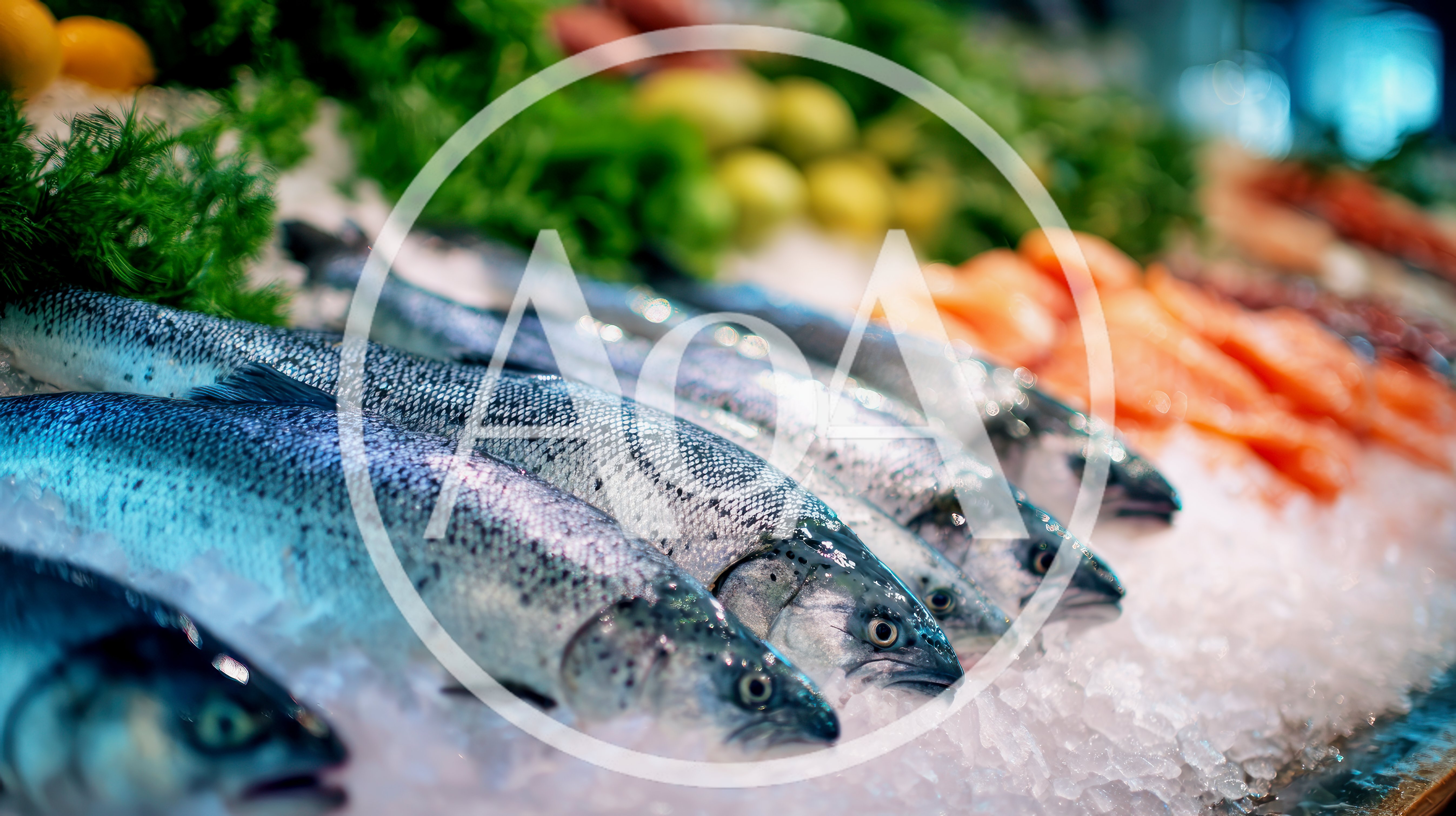 Fresh Salmon Fish Displayed On Ice At Market