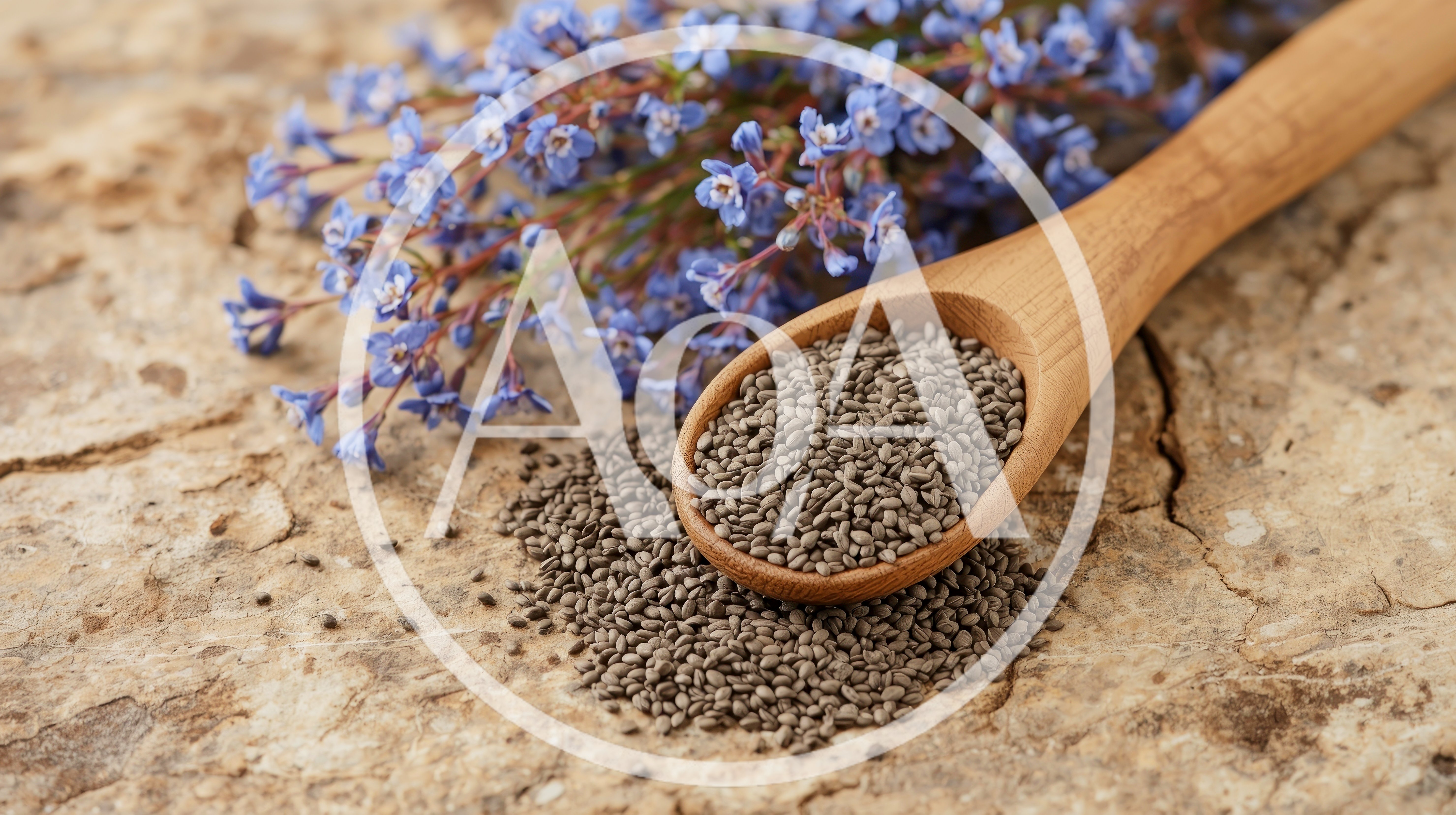 Chia Seeds in Wooden Spoon with Blue Flowers