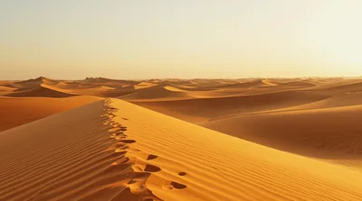 Footprints Leading Across A Vast Golden Sand Dune