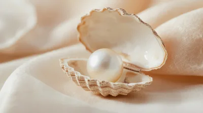 Lustrous White Pearl Inside An Open Seashell