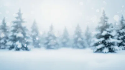 Blurred Snowy Forest Landscape With Pine Trees