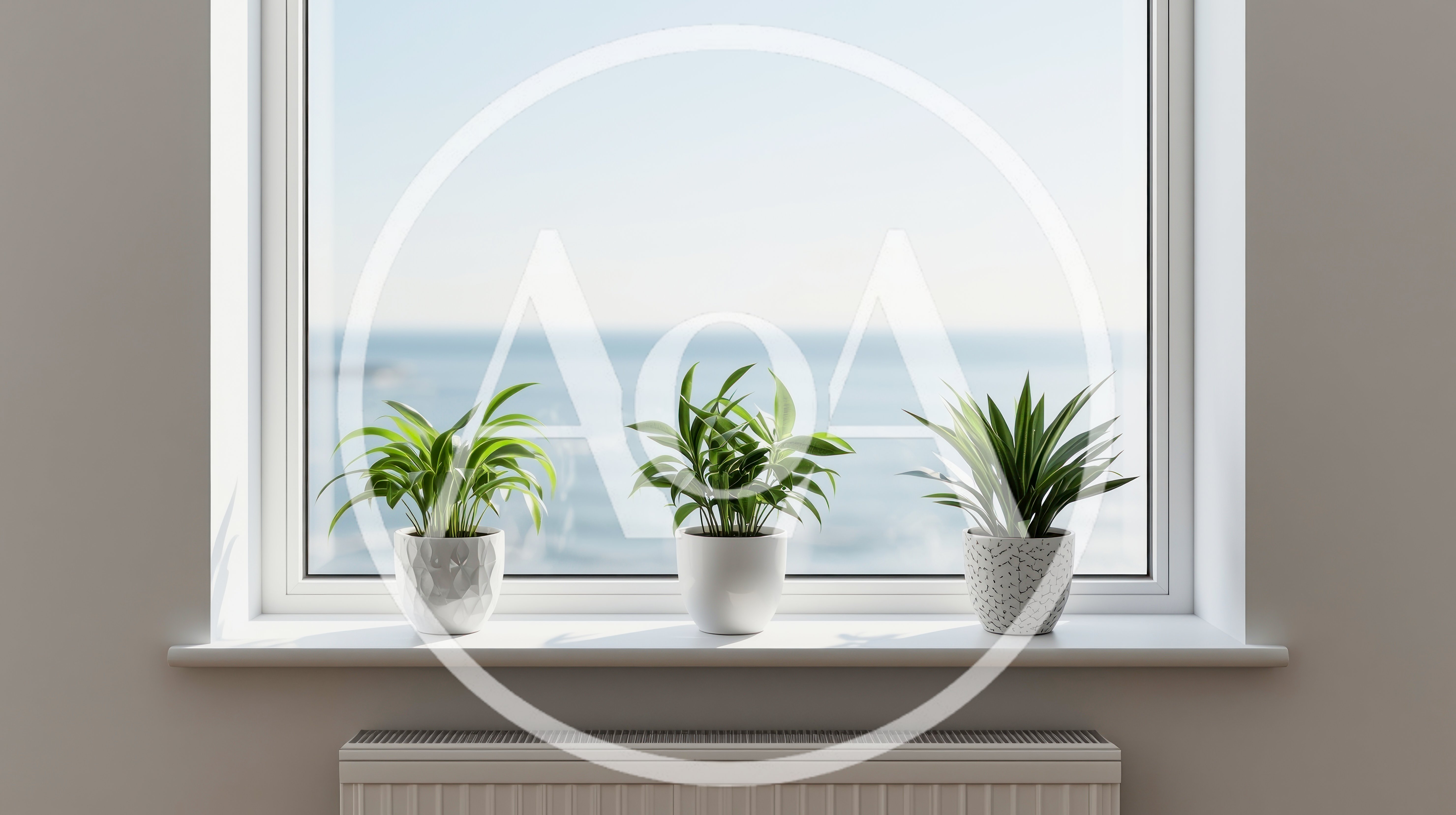 Three Potted Plants On A Sunny Window Sill