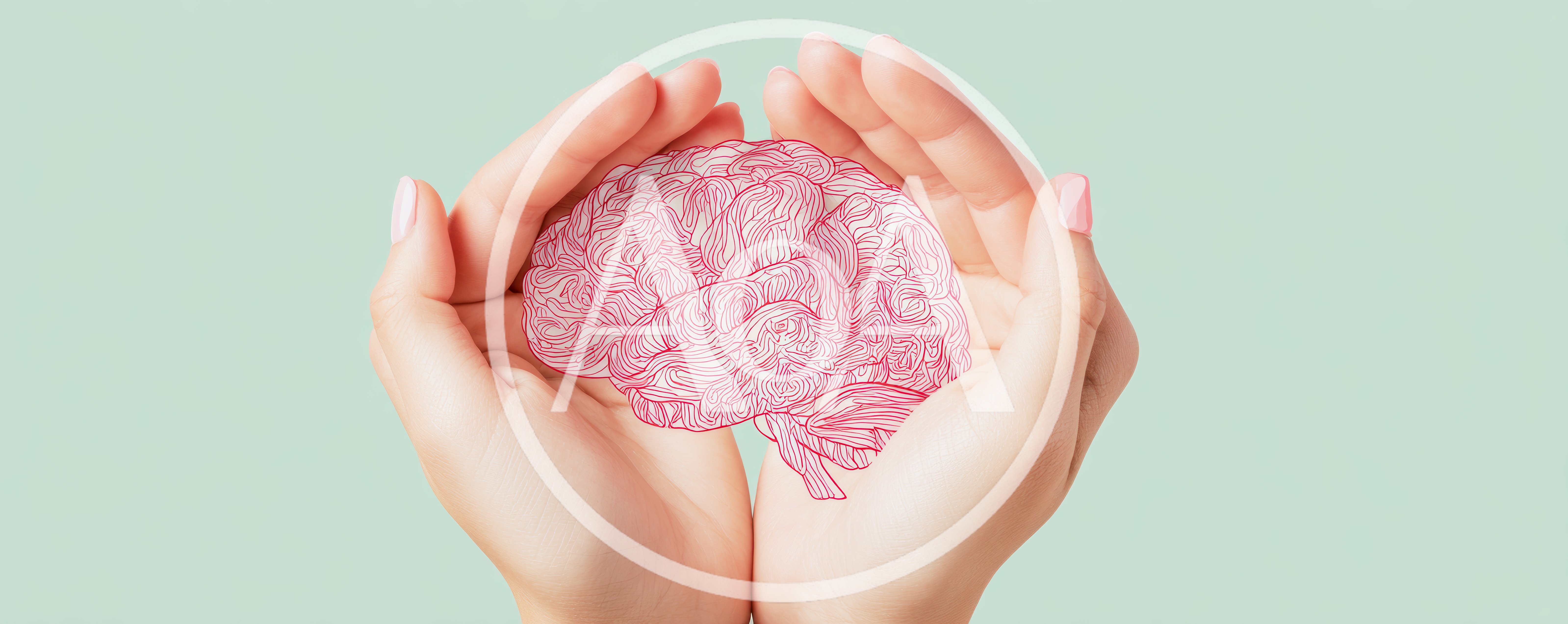 Human Hands Cupping A Stylized Red Line Art Brain