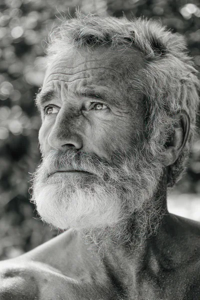 Portrait Of An Elderly Man With A White Beard
