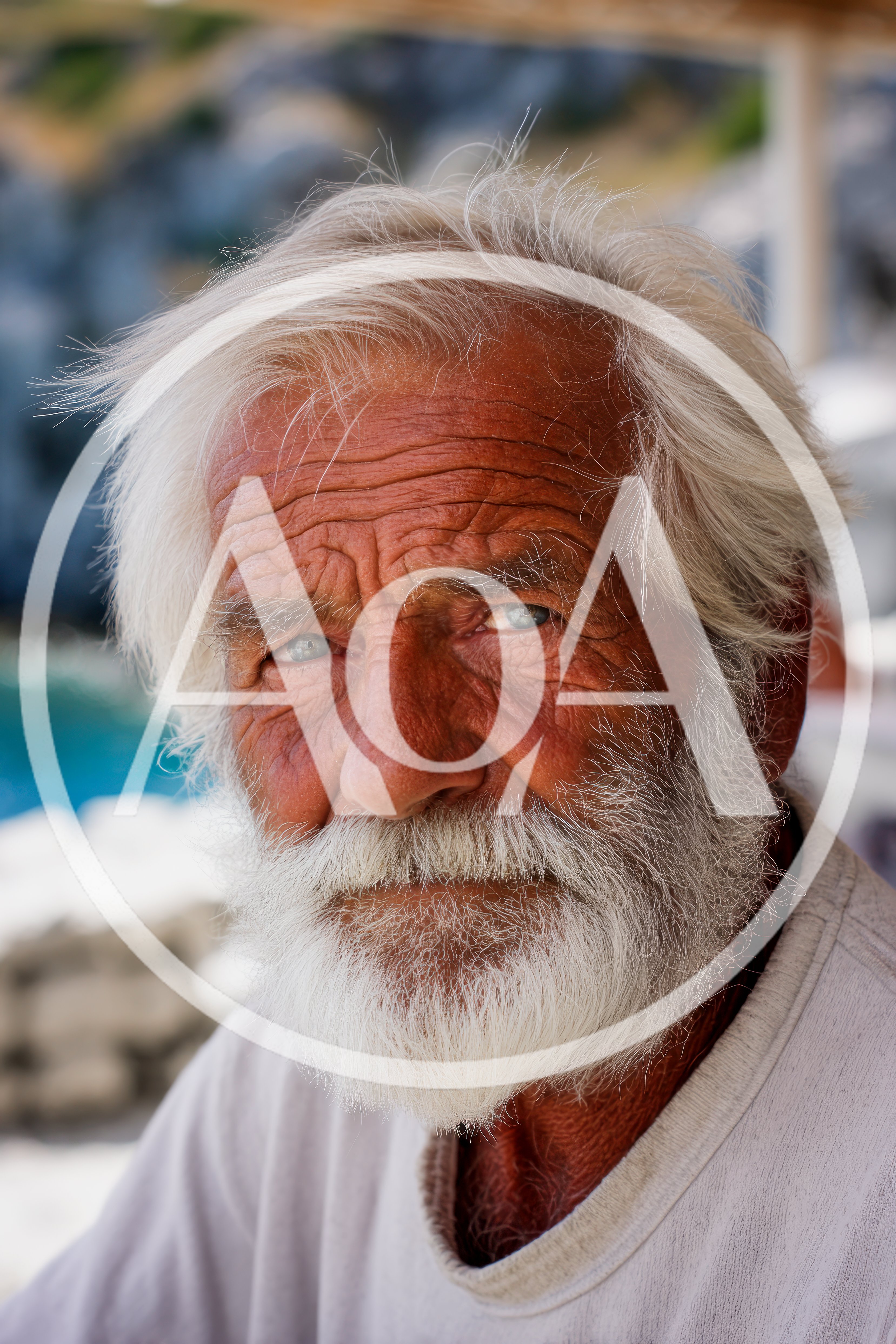 Portrait Of An Elderly Man With White Beard