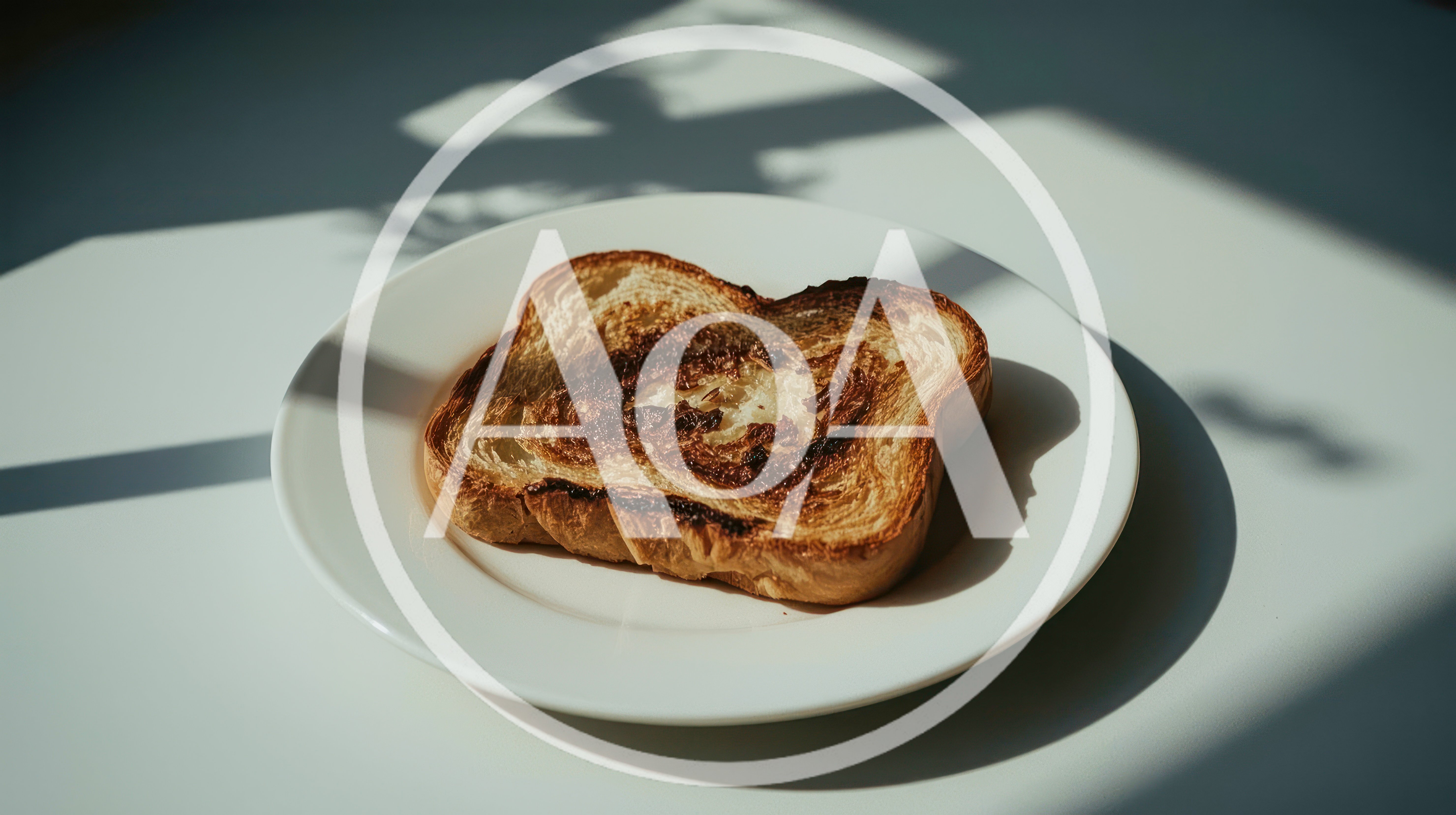 Single Slice Of Toasted Brioche Bread On White Plate