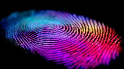 Colorful Glowing Fingerprint Pattern On Black Background