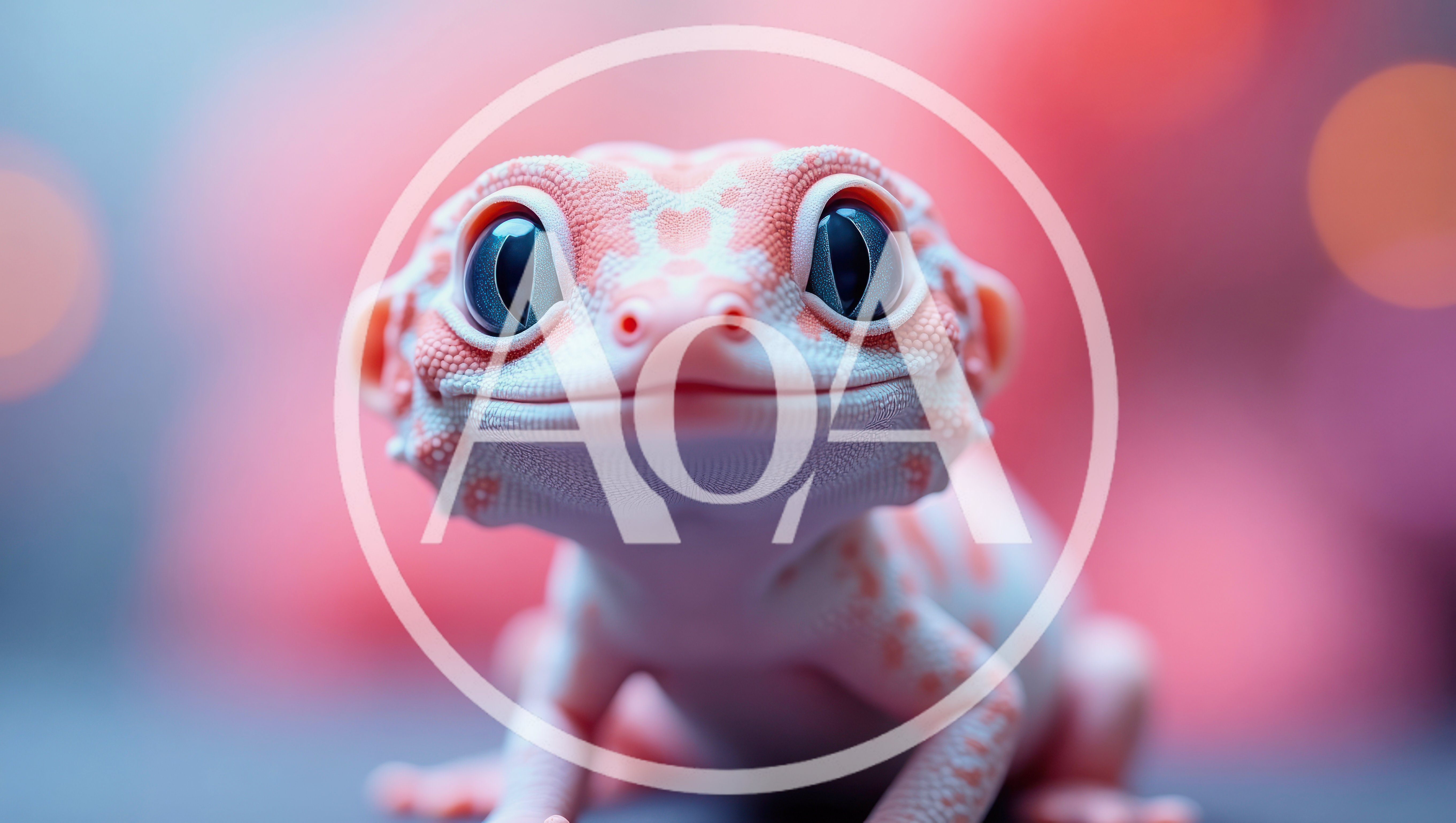 Close Up Portrait Of A Cute Leopard Gecko