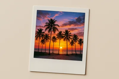 Polaroid Photograph Of A Tropical Sunset With Palm Trees
