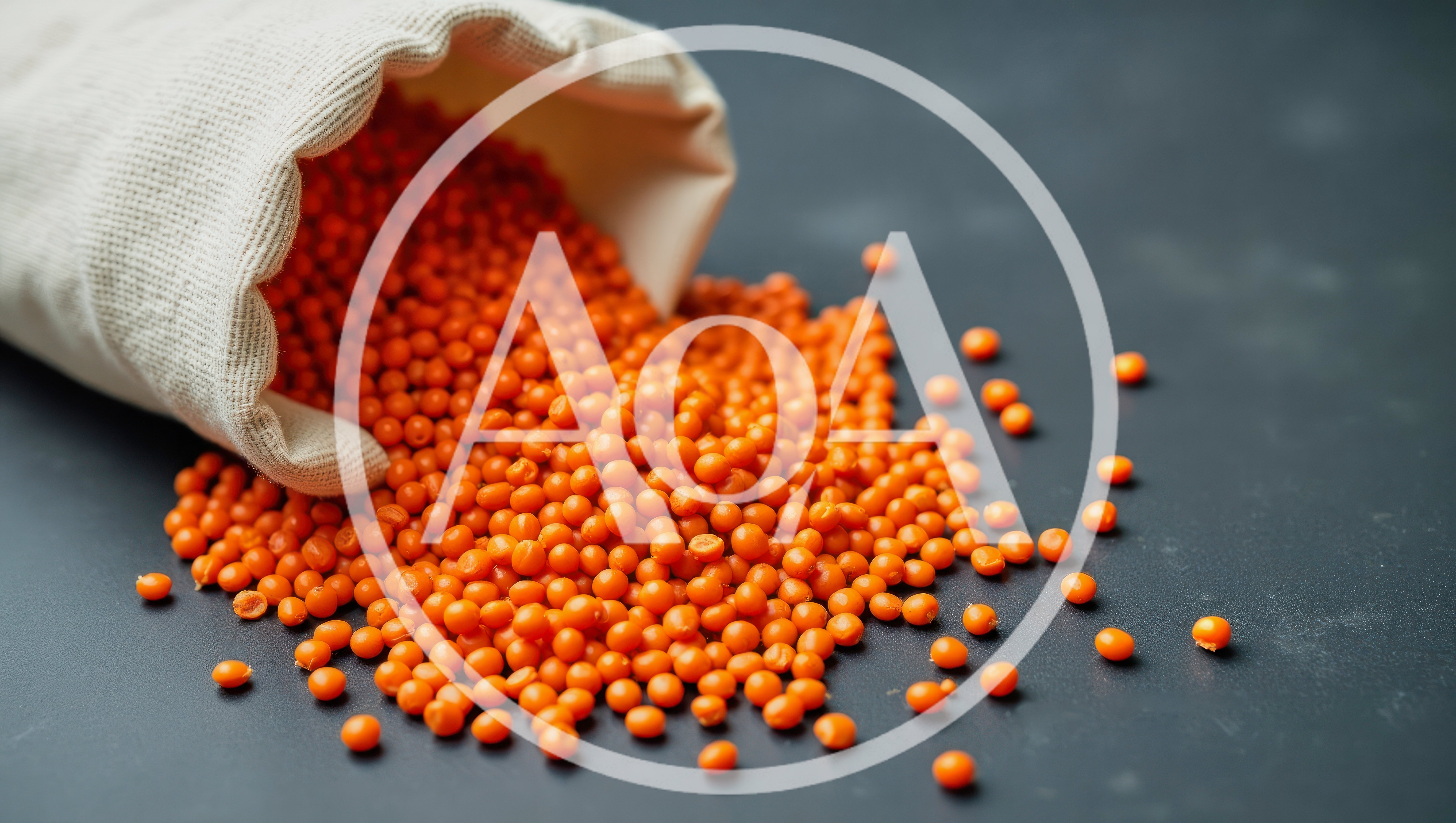 Red Lentils Spilling From A Fabric Bag