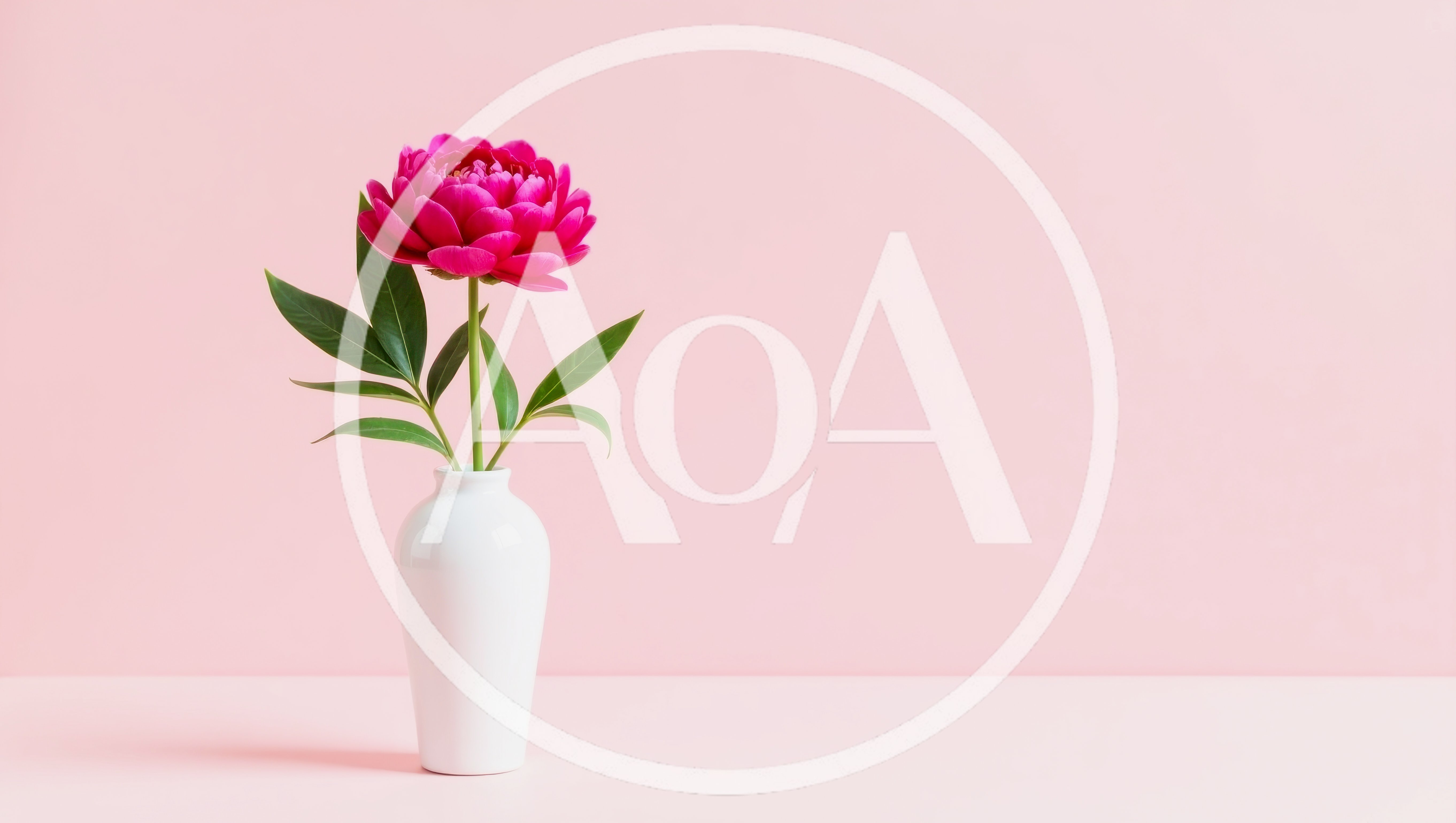 Single Pink Peony Flower In A White Vase