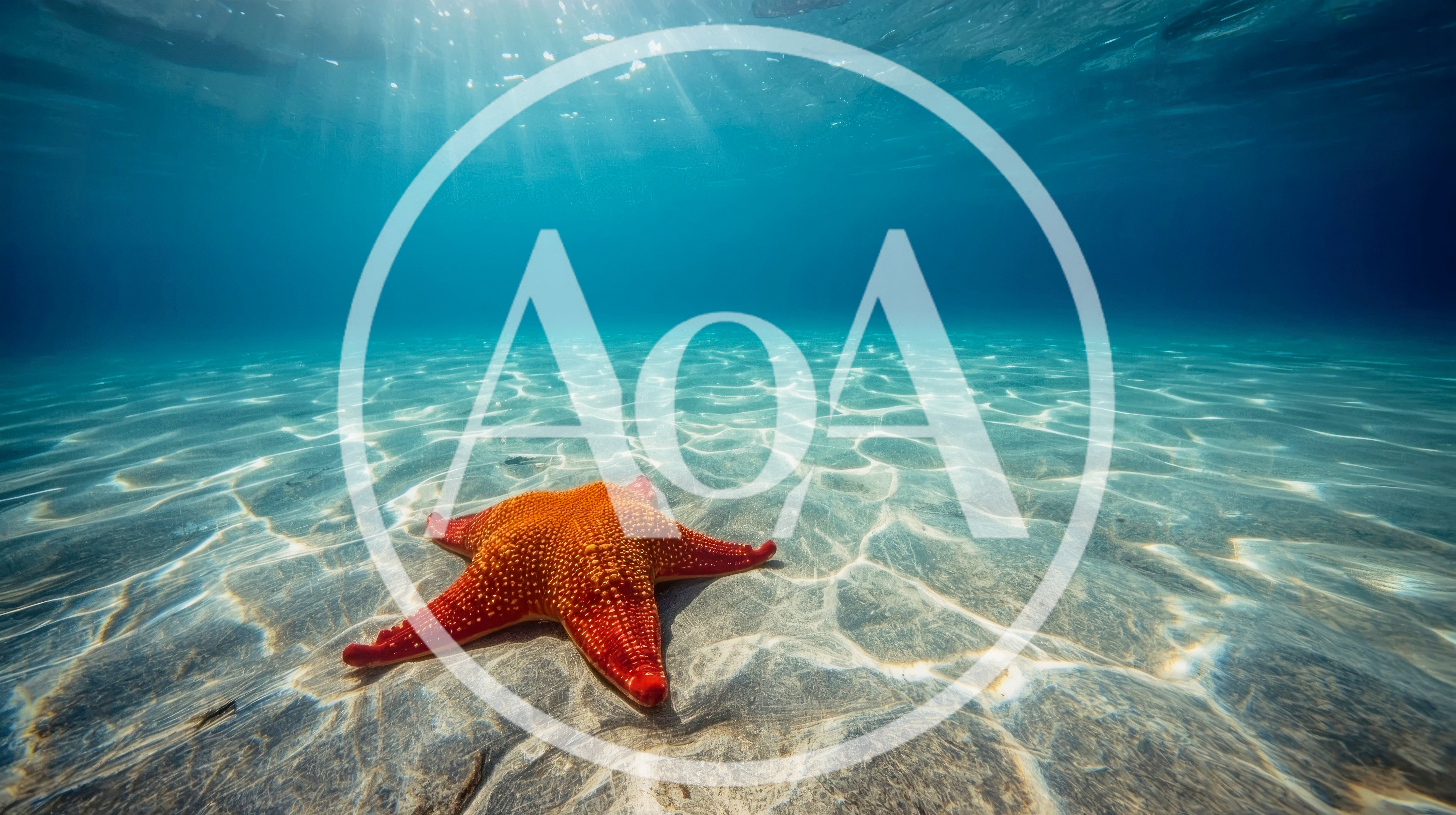 Red Starfish Resting On Sandy Ocean Floor