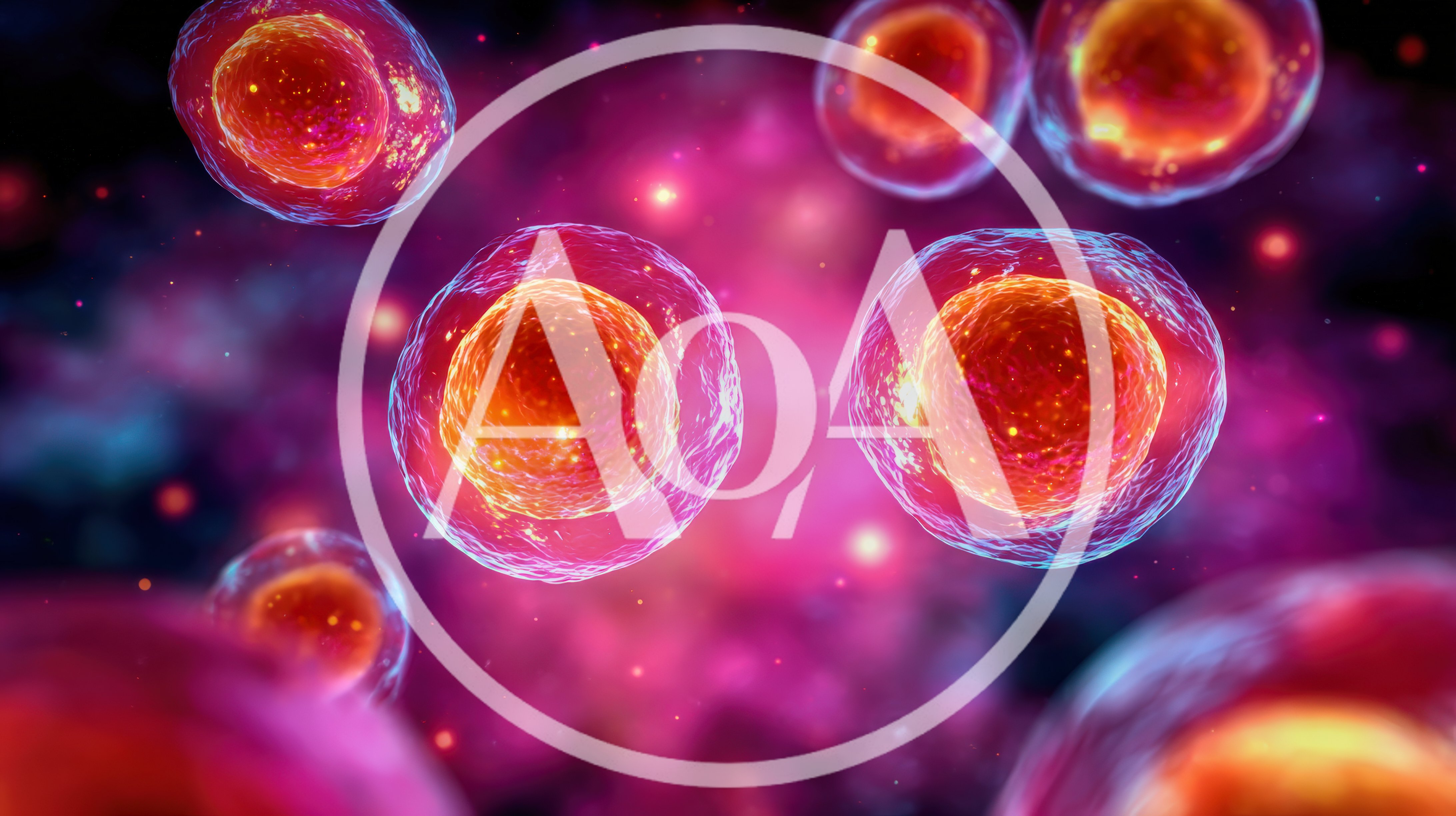 Microscopic View Of Biological Cells Dividing