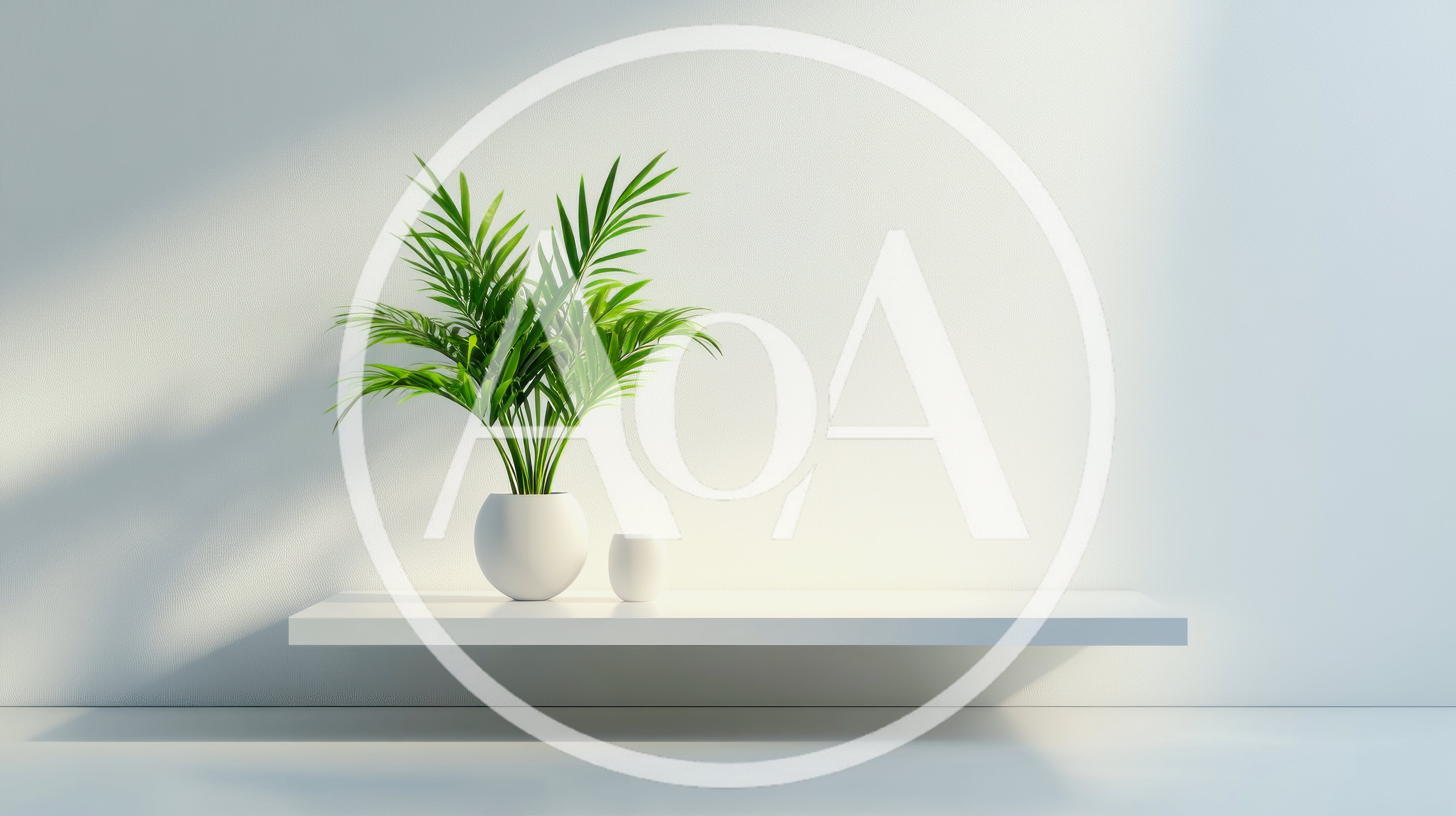 Minimalist White Shelf With Potted Palm Plant