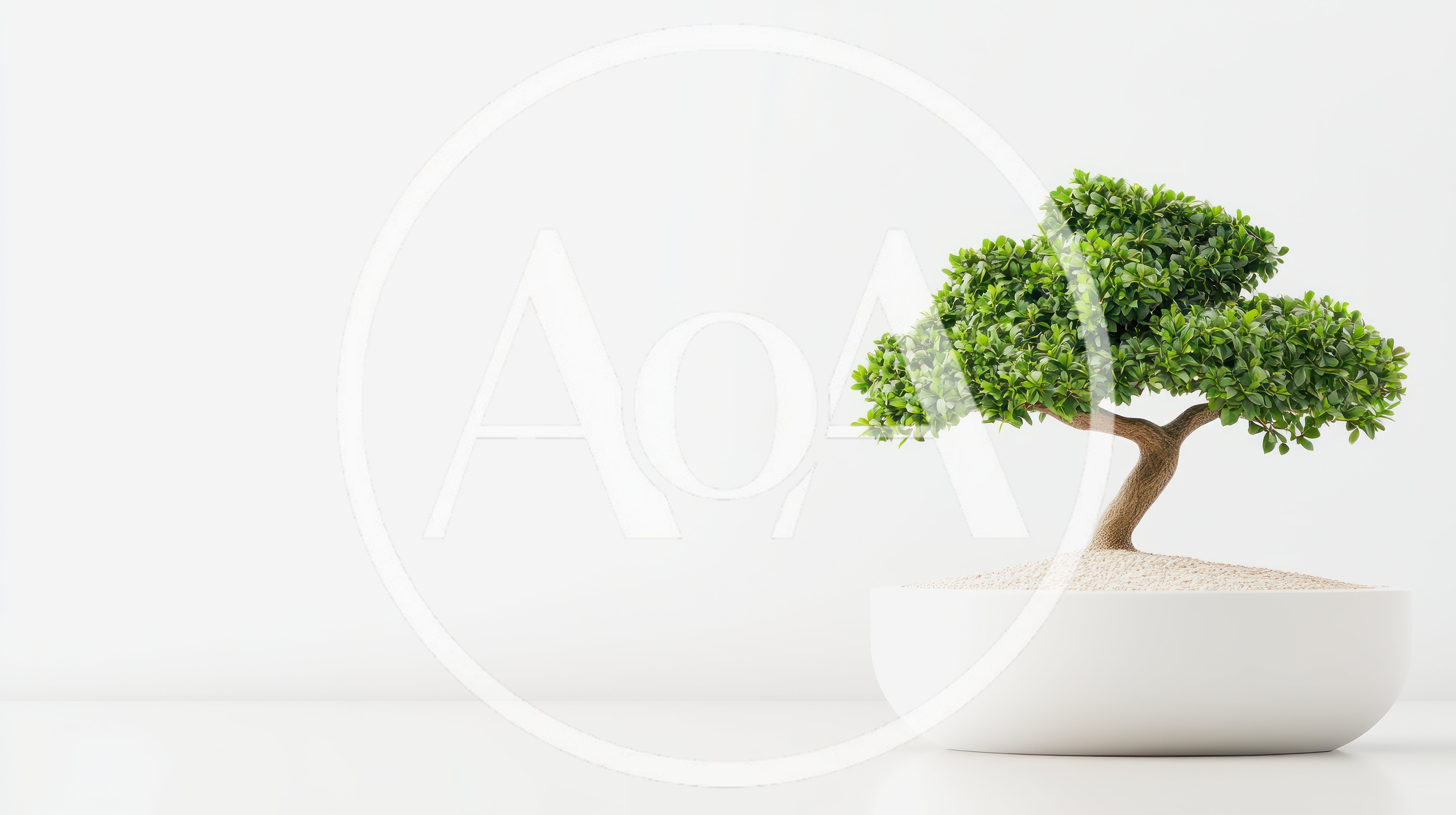Small Bonsai Tree In A White Pot