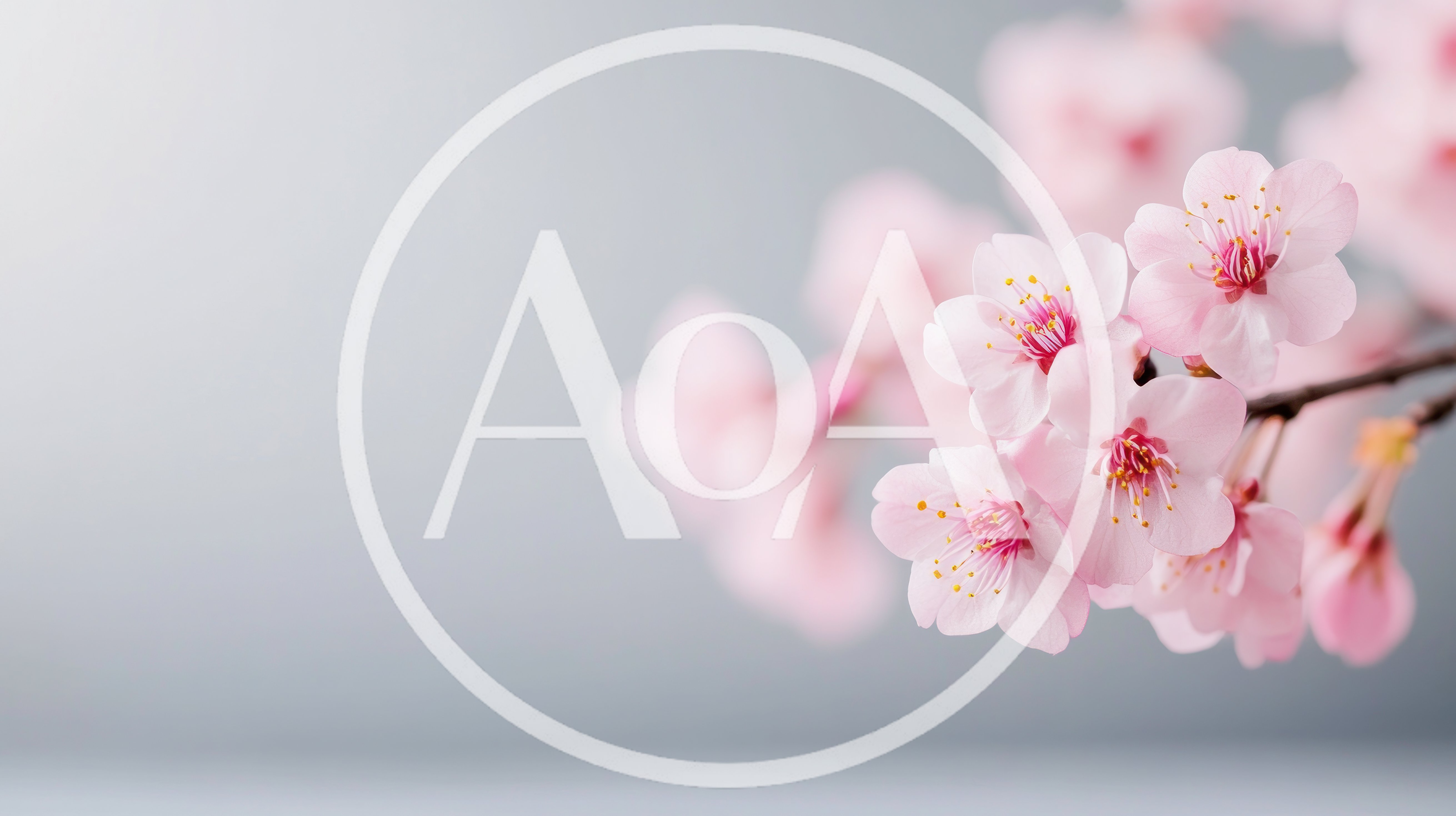 Delicate Pink Cherry Blossom Flowers On Branch