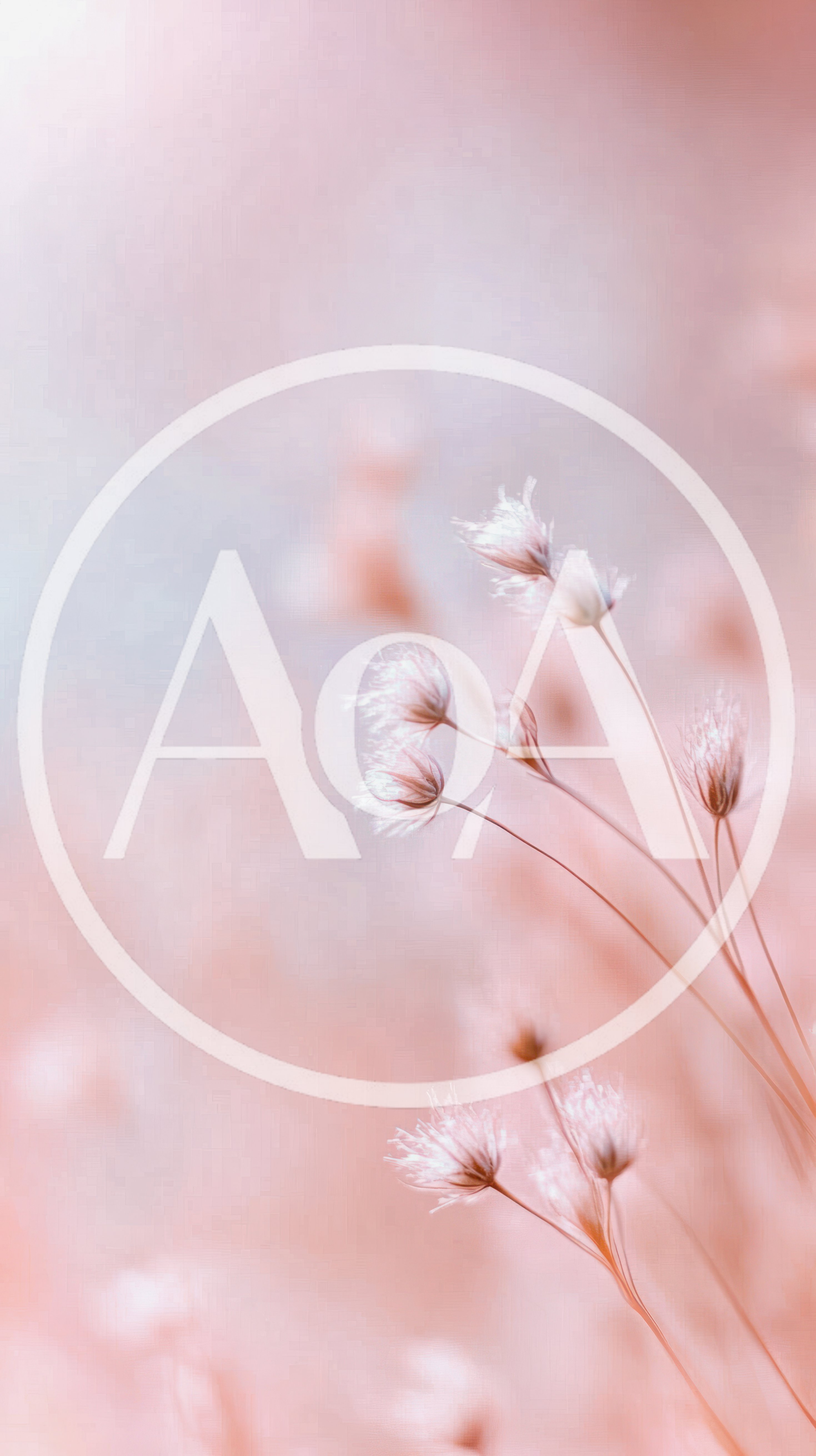 Delicate Dried Wildflowers Against A Soft Pastel Background