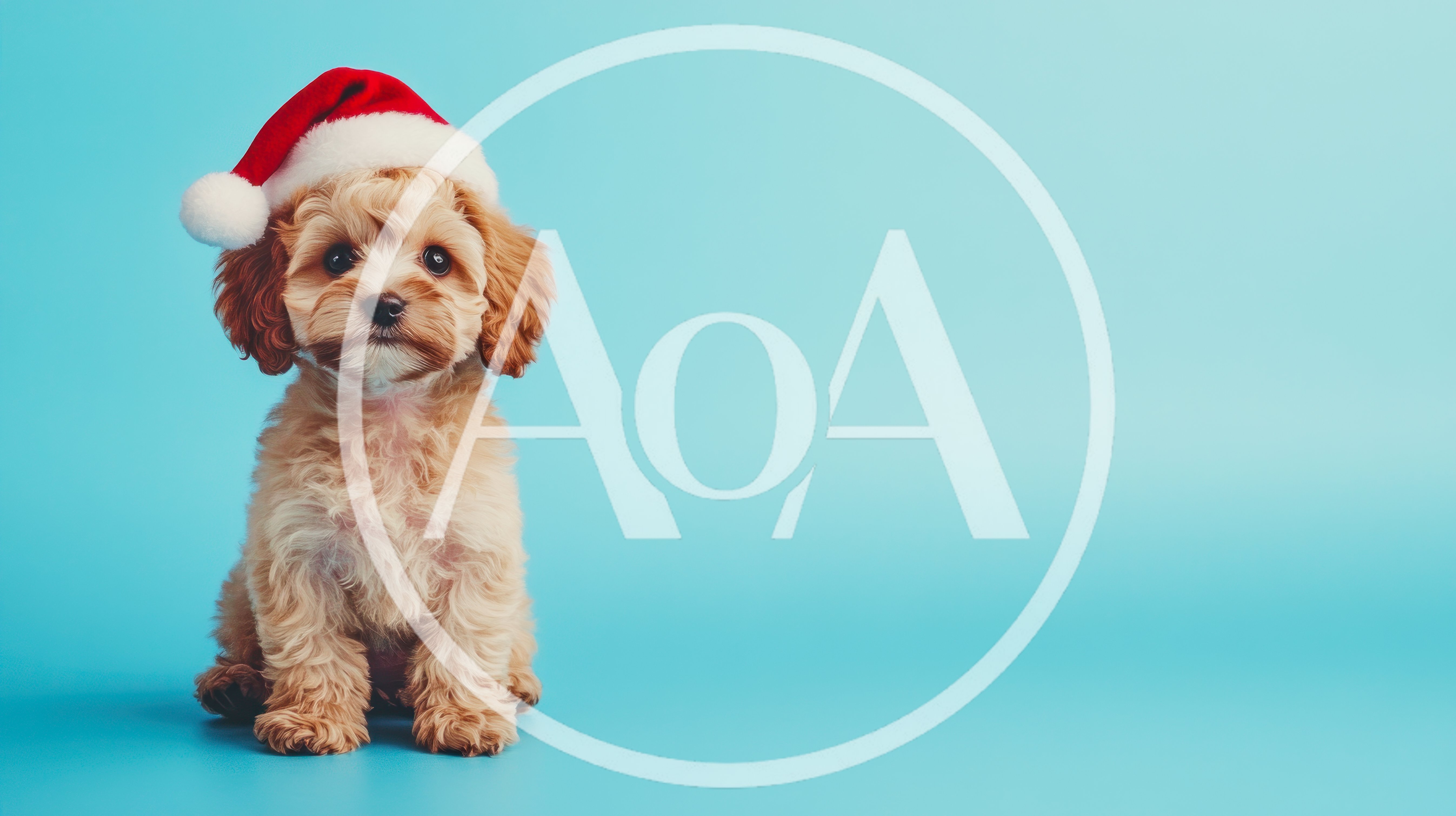 Cute Puppy Wearing A Santa Hat