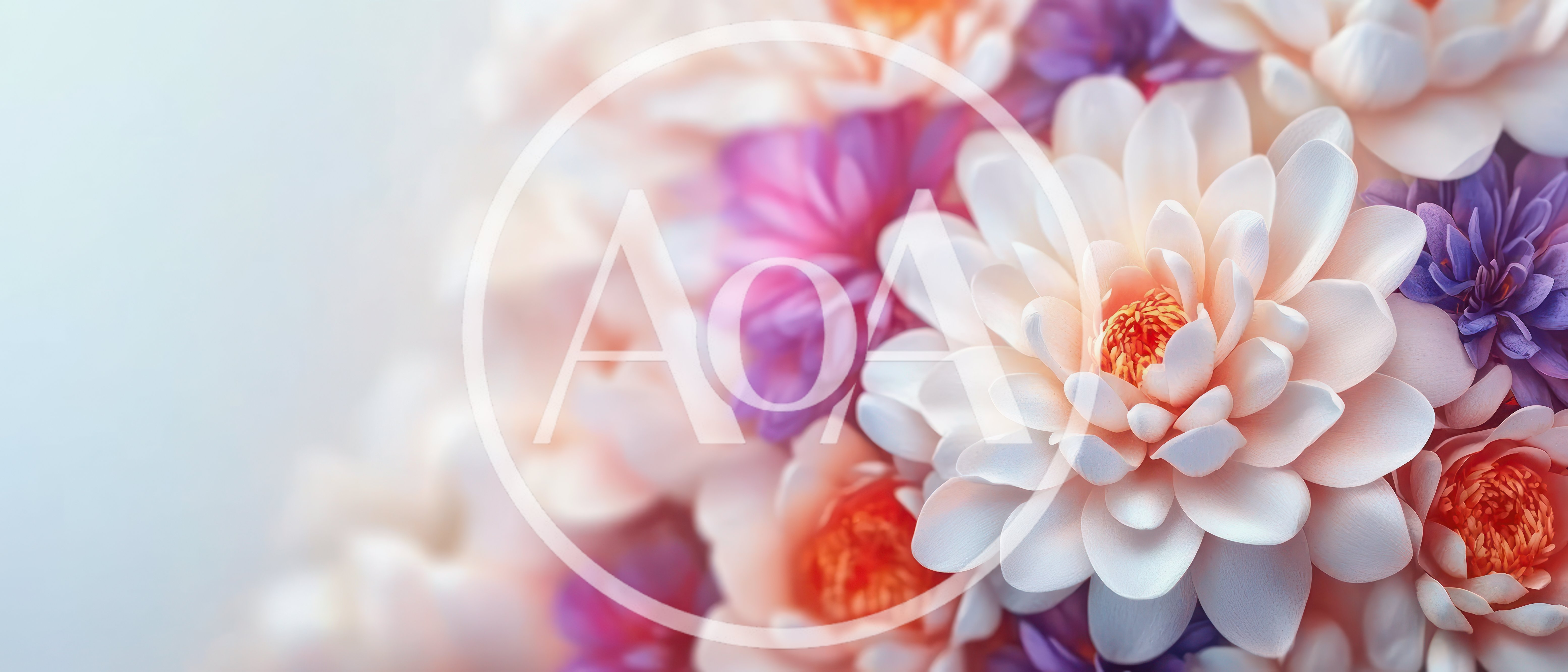 Close Up Of Pastel Colored Chrysanthemum Flower Bouquet