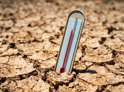 Thermometer Standing In Cracked Dry Earth