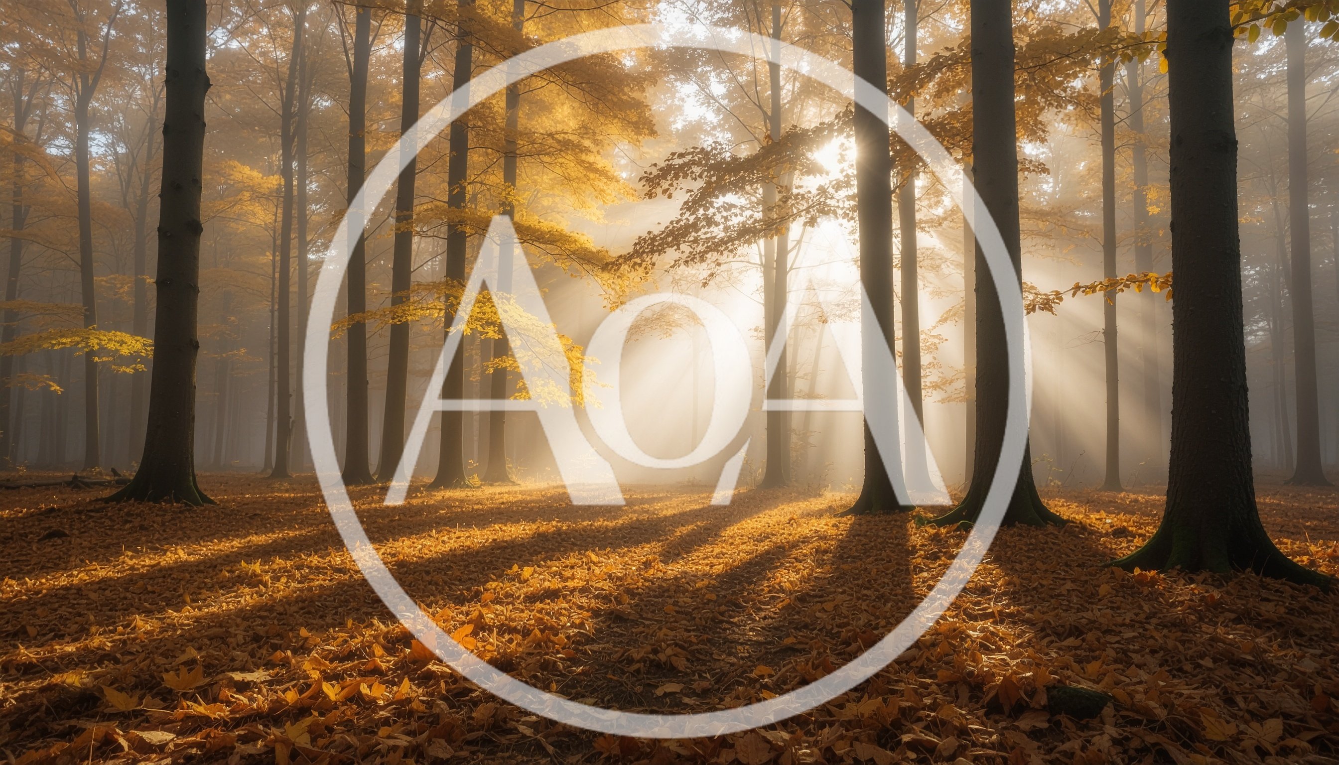 Golden Autumn Forest With Sunbeams And Fog