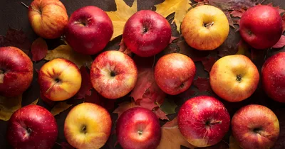 Fresh Red Apples Arranged On Autumn Leaves