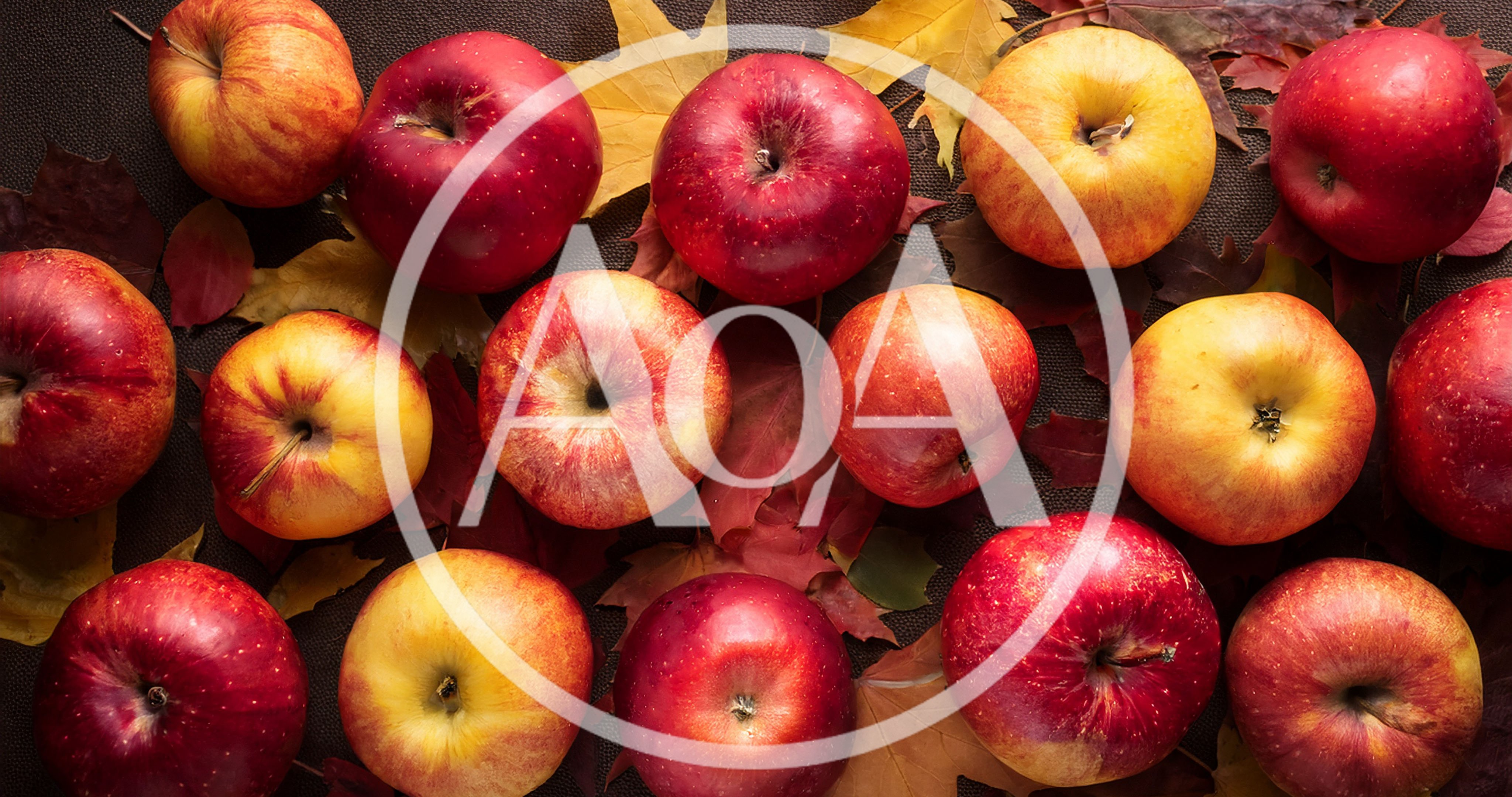 Fresh Red Apples Arranged On Autumn Leaves