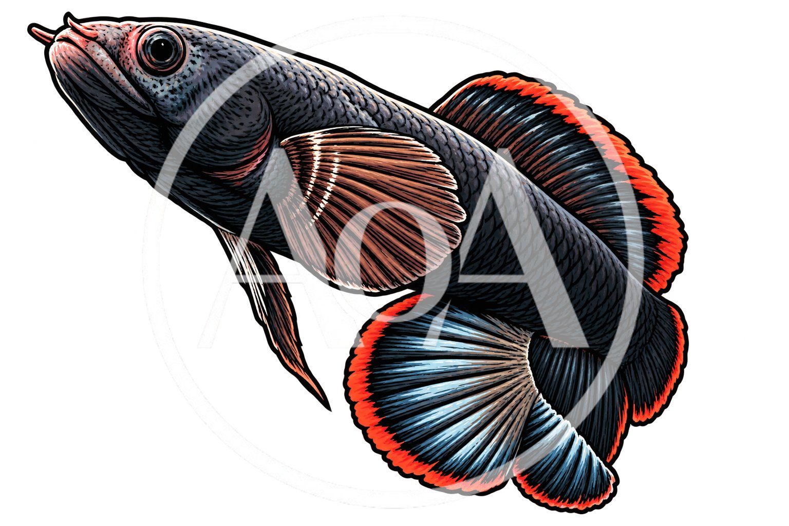 Detailed Illustration Of A Channa Fish