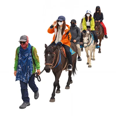 Group Of Tourists Riding Horses On A Guided Trail