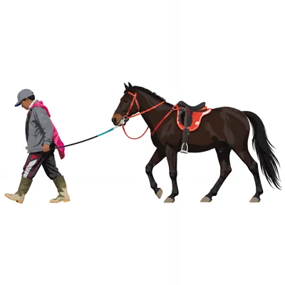 Person Leading A Saddled Horse On White Background
