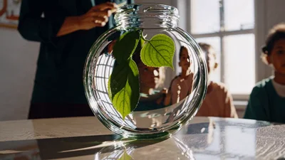 Children Observing Green Leaves Inside Glass Jar in Classroom