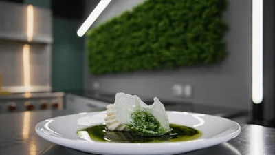 Gourmet Plated Dish With Green Sauce In Modern Kitchen