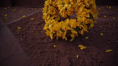 Yellow Flower Wreath Resting On Red Earth Ground