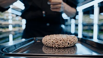 Chef Placing Mushroom Disc on Tray in Vertical Farm