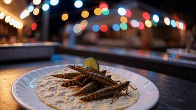 Grasshopper Tacos Served On A Plate At Night