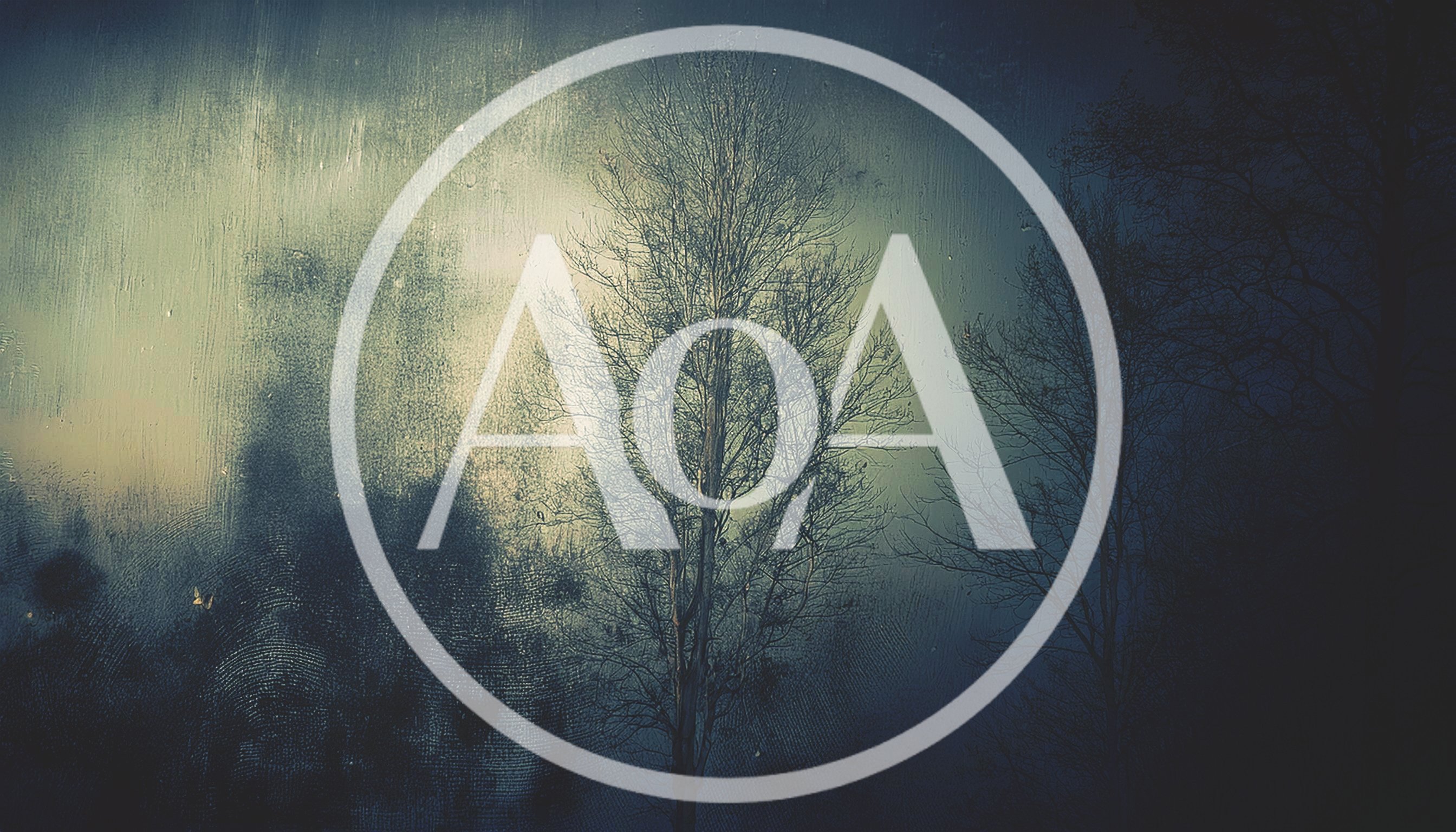 Bare Trees Seen Through A Foggy Window