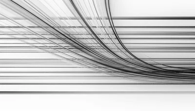 Abstract Monochrome Background With Flowing Curved Lines