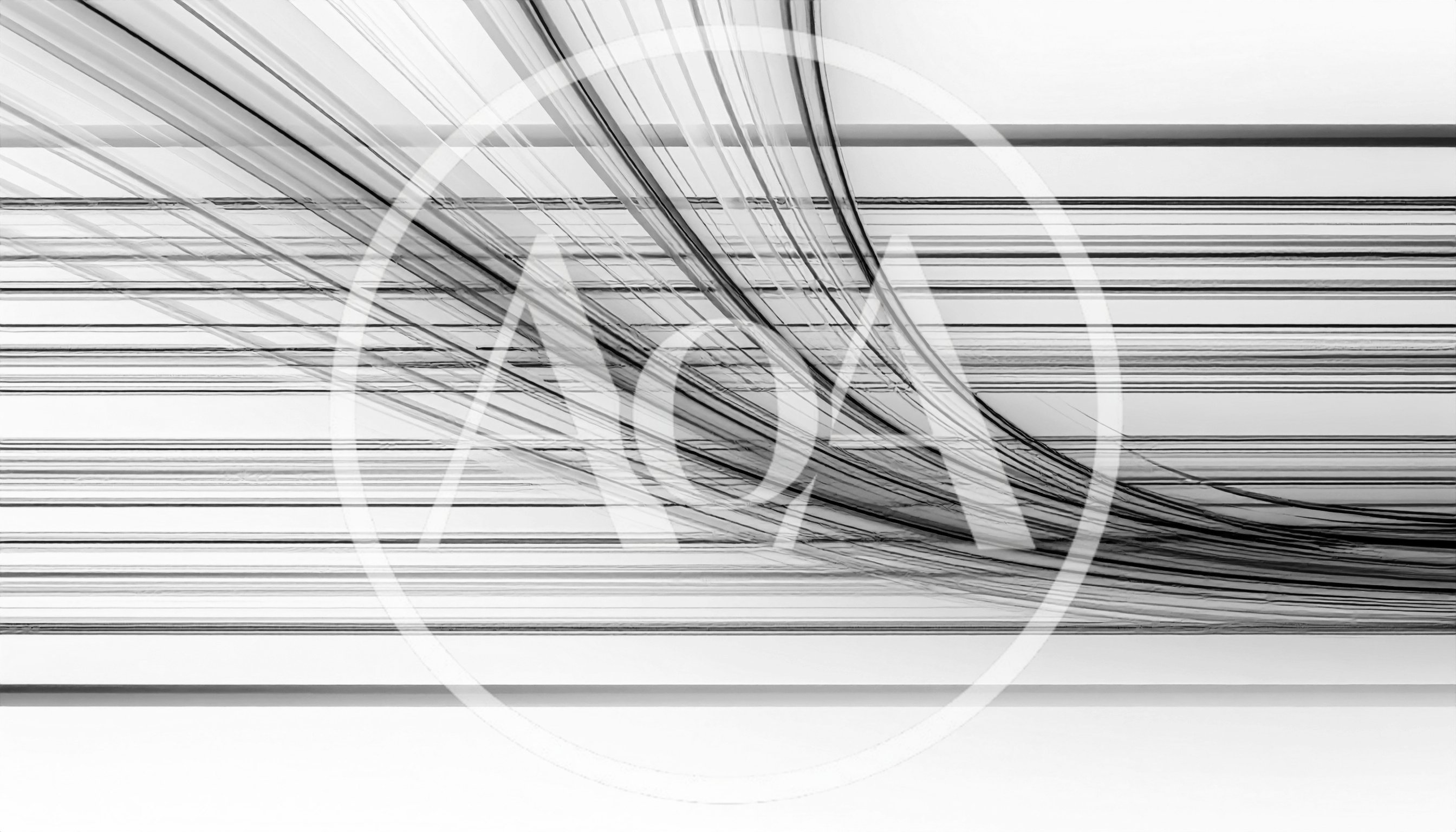 Abstract Monochrome Background With Flowing Curved Lines