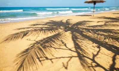 Palm Tree Shadow Cast On Tropical Beach Sand