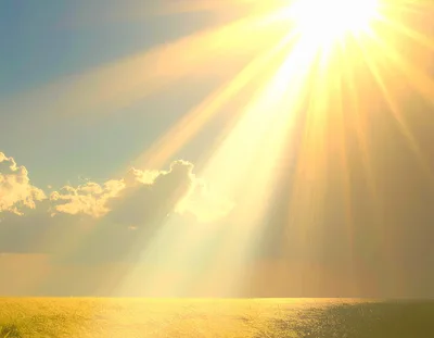 Golden Sun Rays Shining Over A Grassy Field