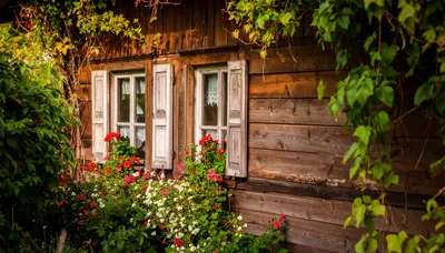 Rustic Wooden Cottage Exterior With Blooming Flower Boxes