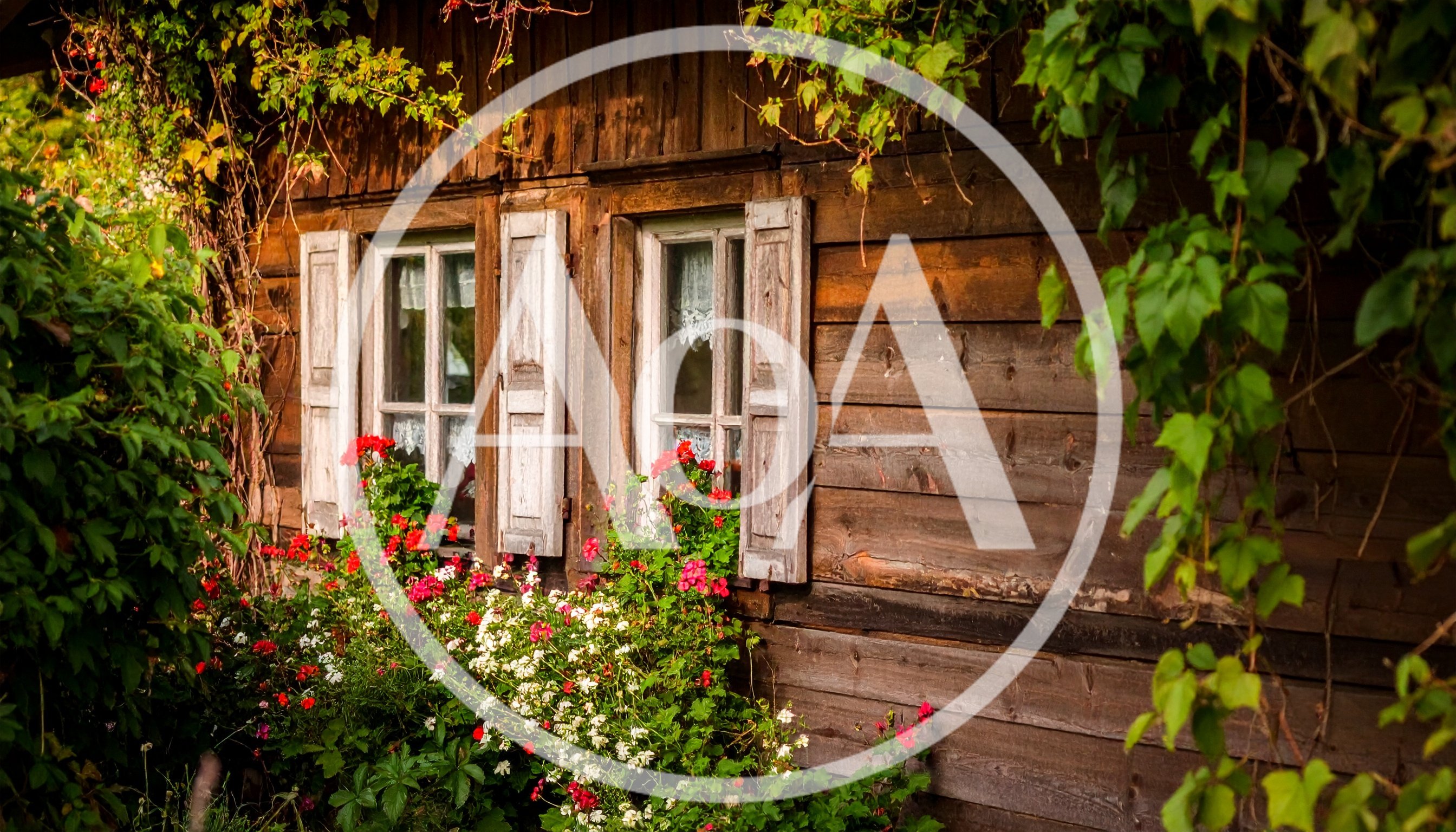 Rustic Wooden Cottage Exterior With Blooming Flower Boxes
