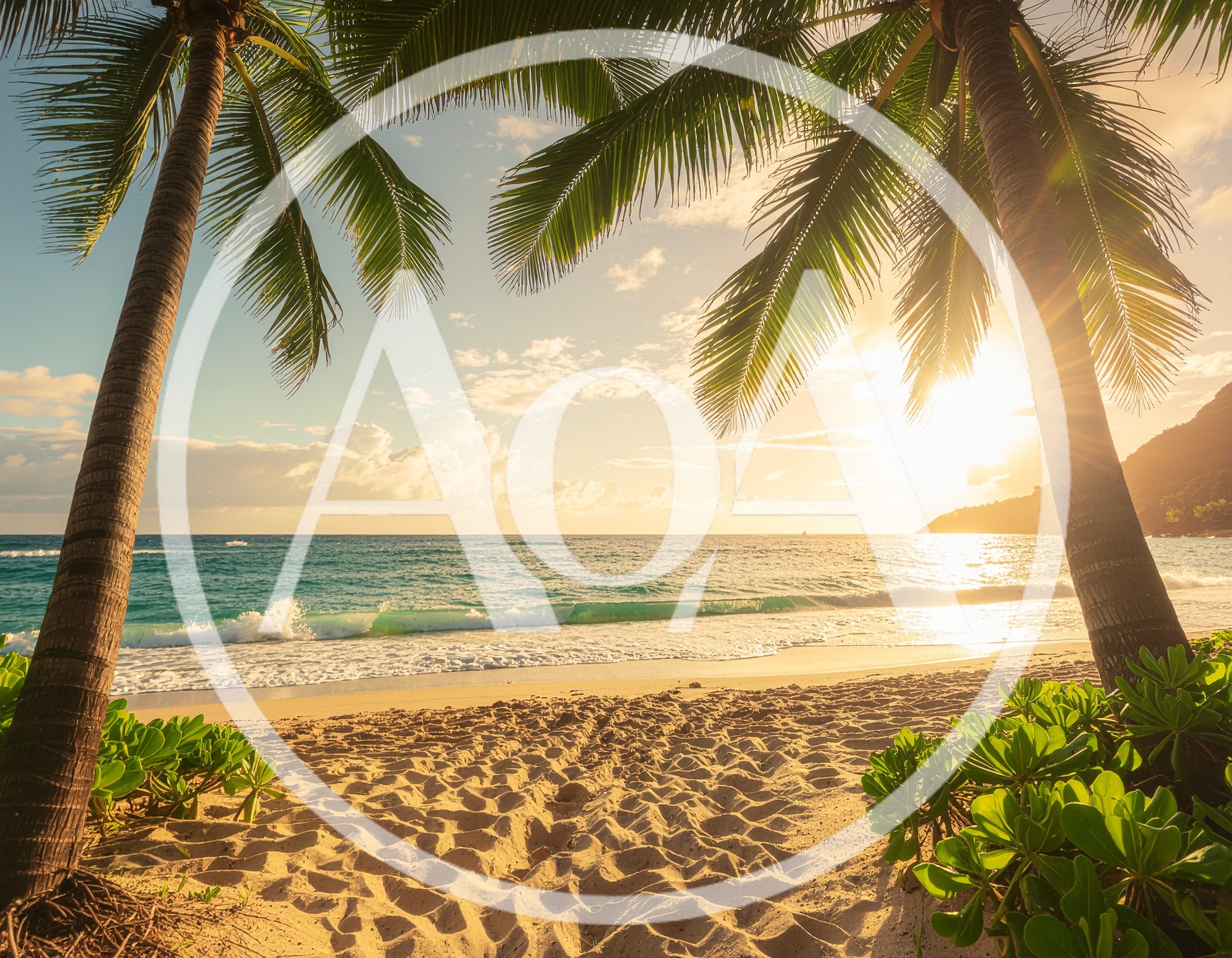 Tropical Beach Sunset Framed By Palm Trees