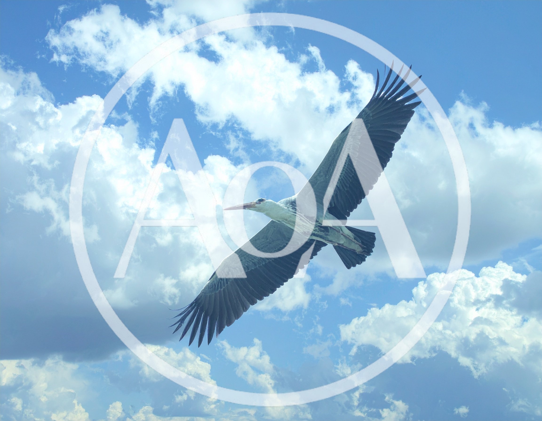 Grey Heron Flying Against A Cloudy Blue Sky