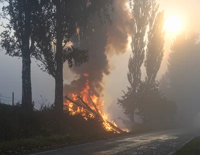 Large Bonfire Burning Beside A Rural Road
