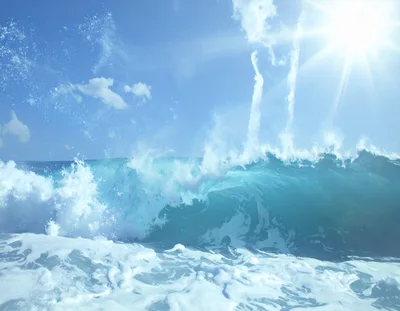 Powerful Ocean Wave Crashing Under Bright Sun