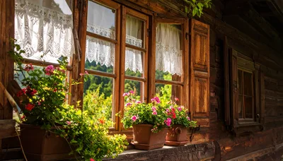 Rustic Wooden Window With Flower Boxes And Lace Curtains