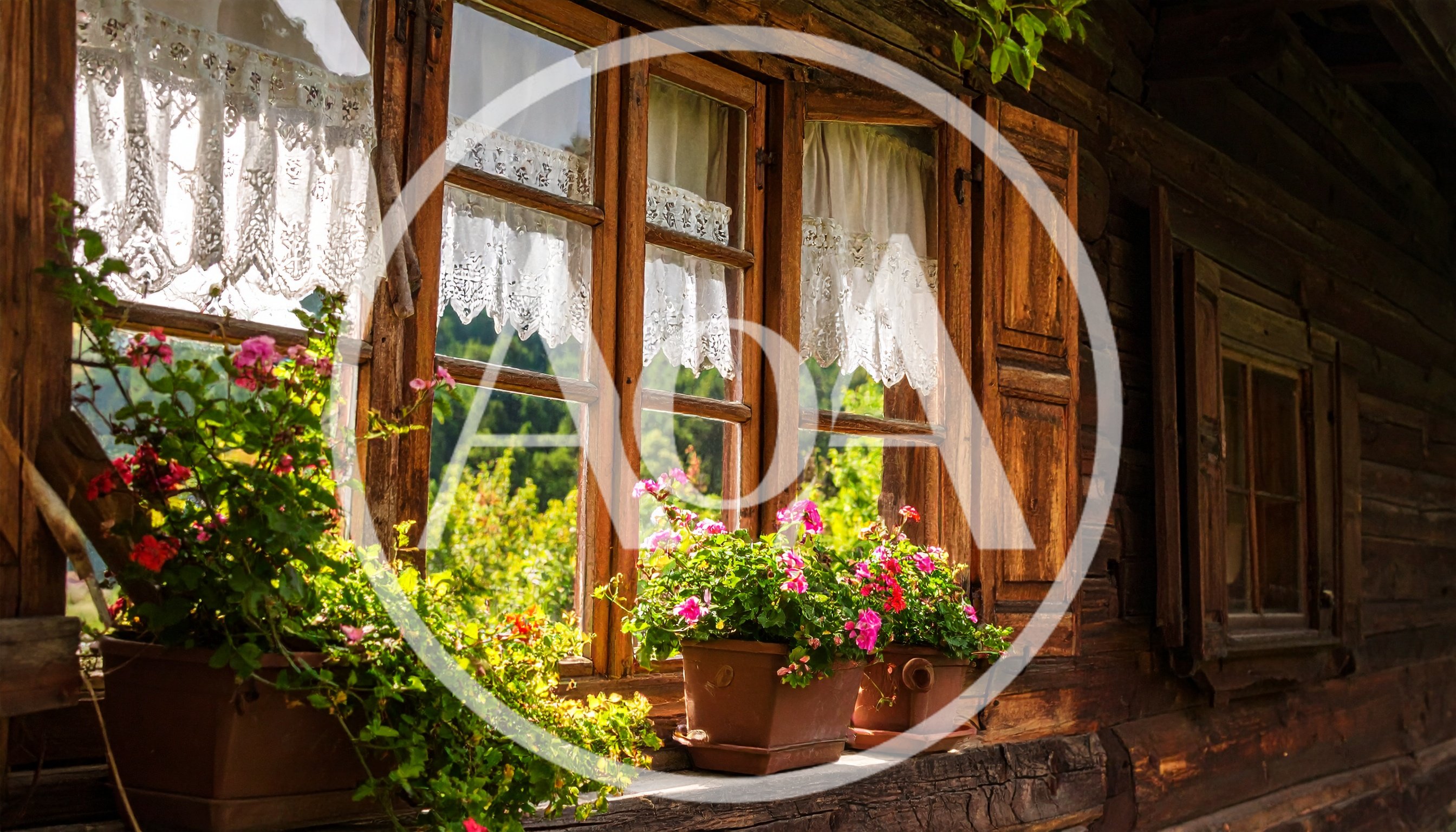 Rustic Wooden Window With Flower Boxes And Lace Curtains